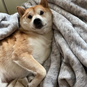 Meet your Posher, Cathy